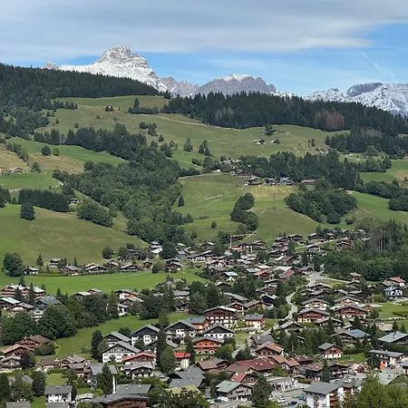 Bel Au Dernier Etage - Apartment Megève